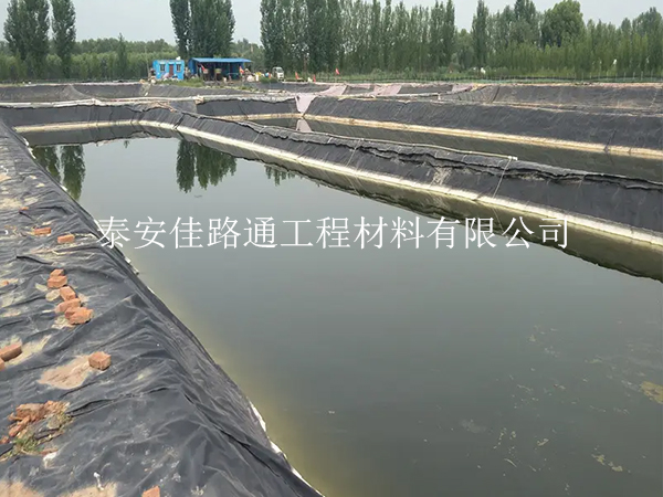 養(yǎng)殖防滲膜：魚蝦養(yǎng)殖的綠色守護者，創(chuàng)新助力水產(chǎn)繁榮